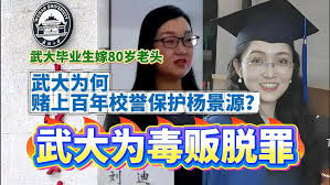 武汉大学图书馆诬告事件始末揭秘