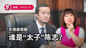 陈志案背后的网络审查与言论封锁